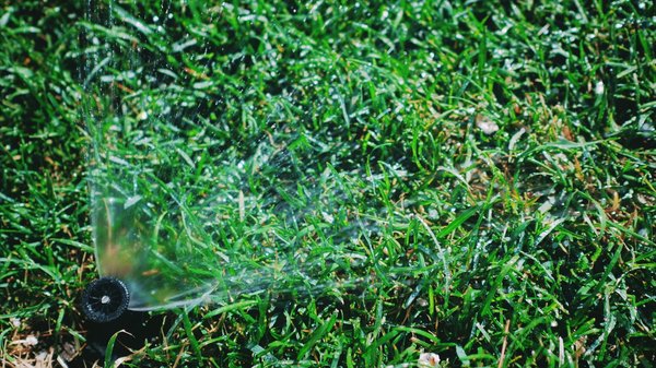 Quels sont les systèmes d'irrigation traditionnels les plus écologiques?
