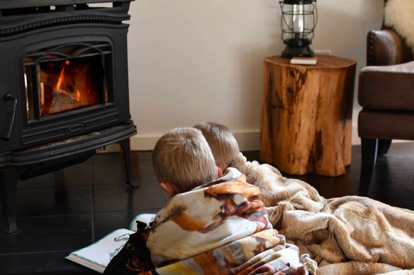 Quel petit poêle à bois choisir ?