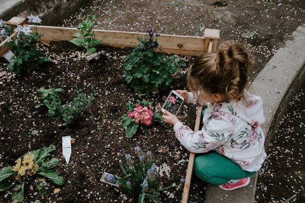 Les plantes grimpantes pour couvrir les murs de votre jardin