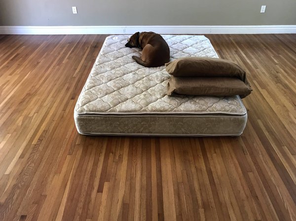 Pourquoi les matelas 140 x 190 cm sont-ils si populaires ?