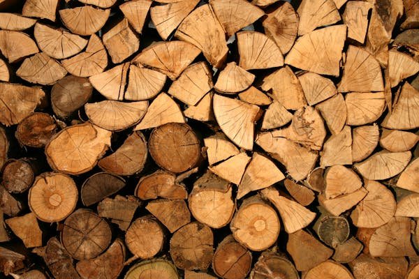 Choisir le bois de chauffage : astuces pour une chaleur optimale